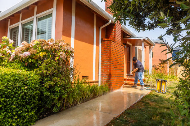 Local Pressure Washing Services in Mount Olive, AL